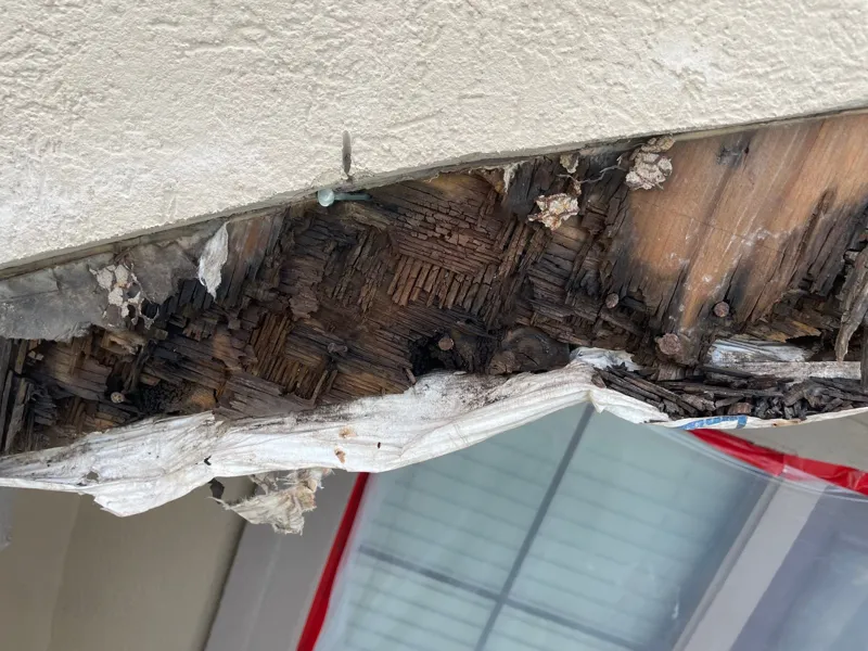Exposed wood beneath an exterior stucco trim band