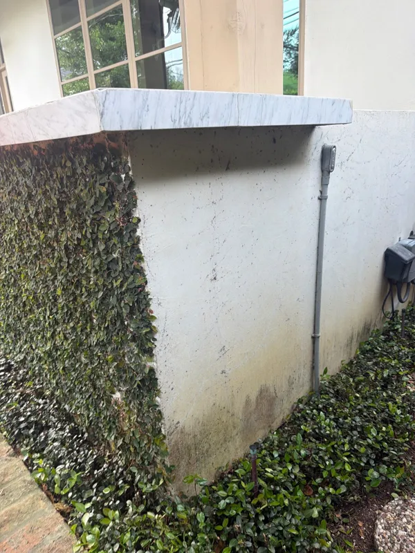 Textured exterior wall beside a window and garden bed