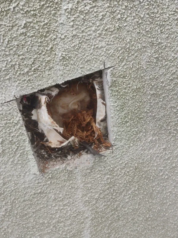 Small opened area in a textured stucco wall