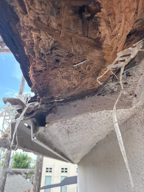 Opened underside revealing exterior wall material