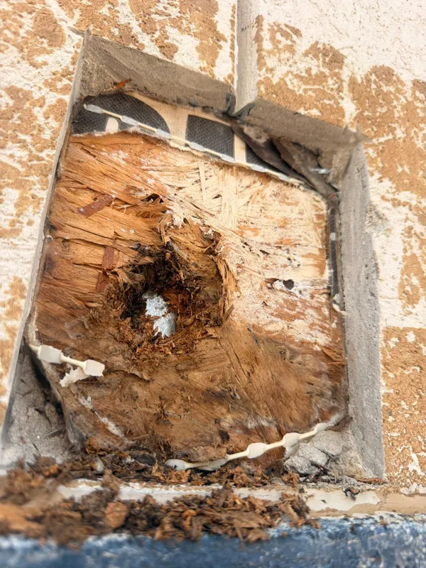 Exposed wall material inside the localized opening