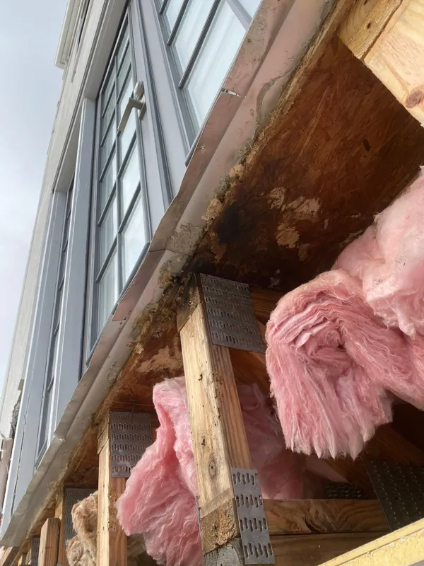 Open wall showing framing and insulation