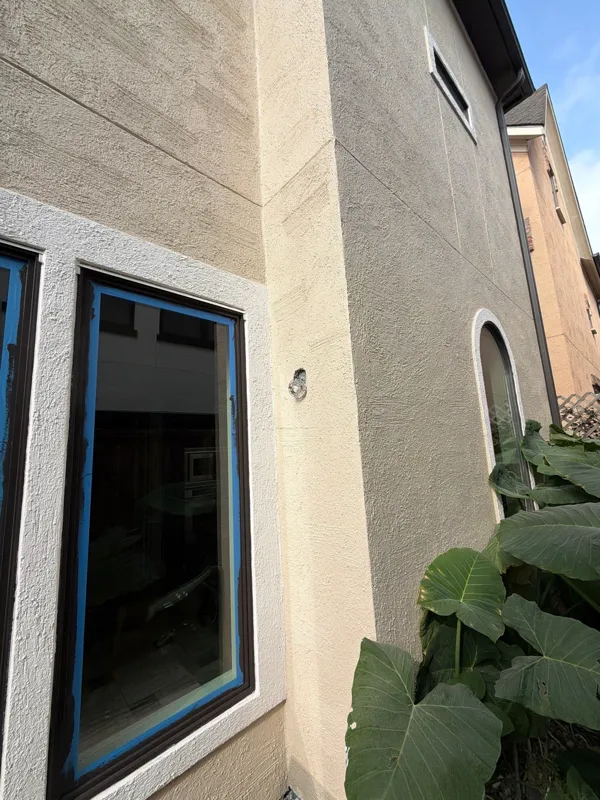 Light stucco wall and window beside landscaping