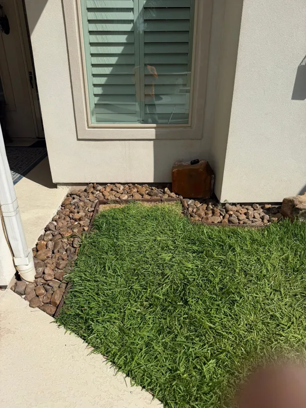 White-trimmed window and stucco wall above landscaping