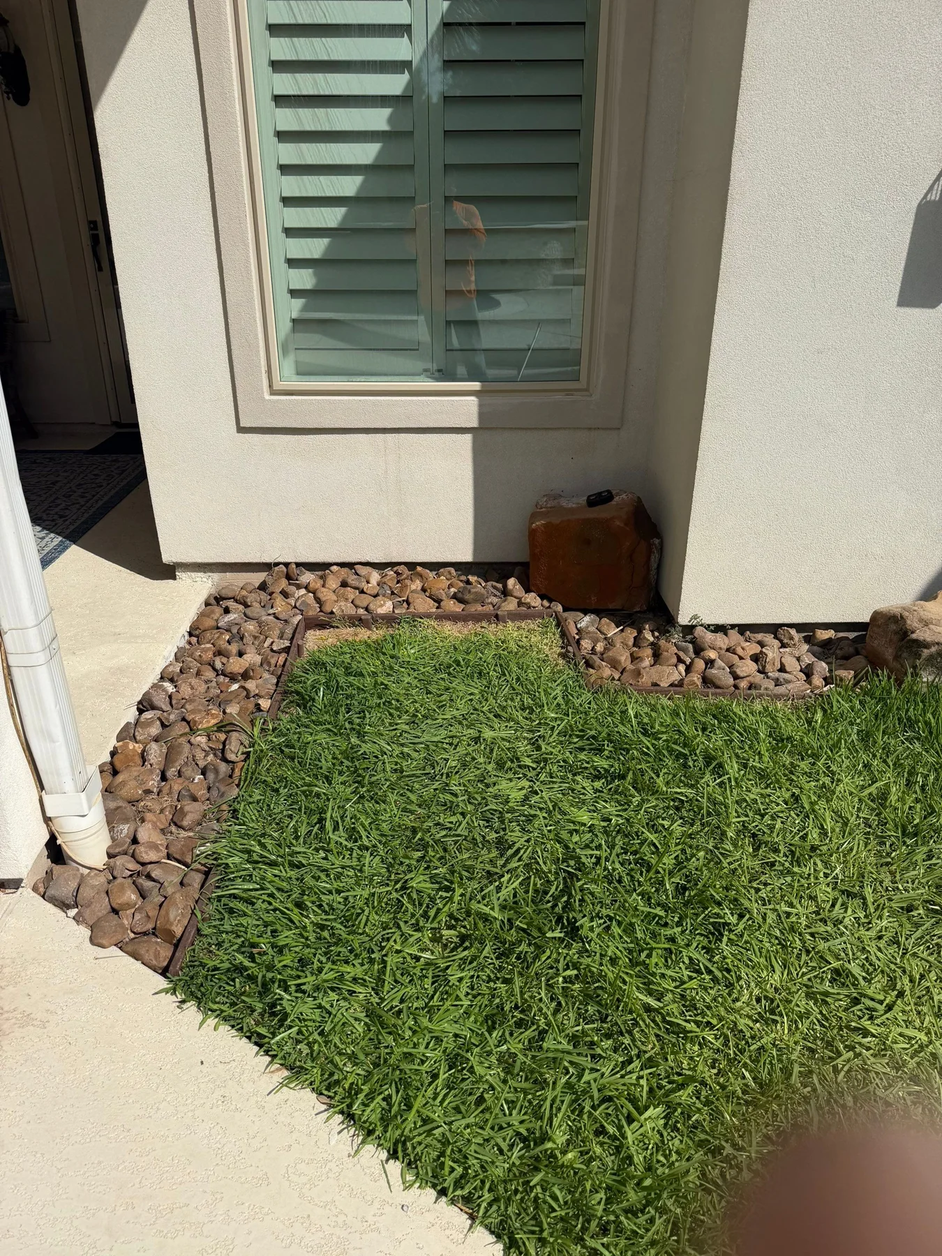 White-trimmed window and stucco wall above landscaping