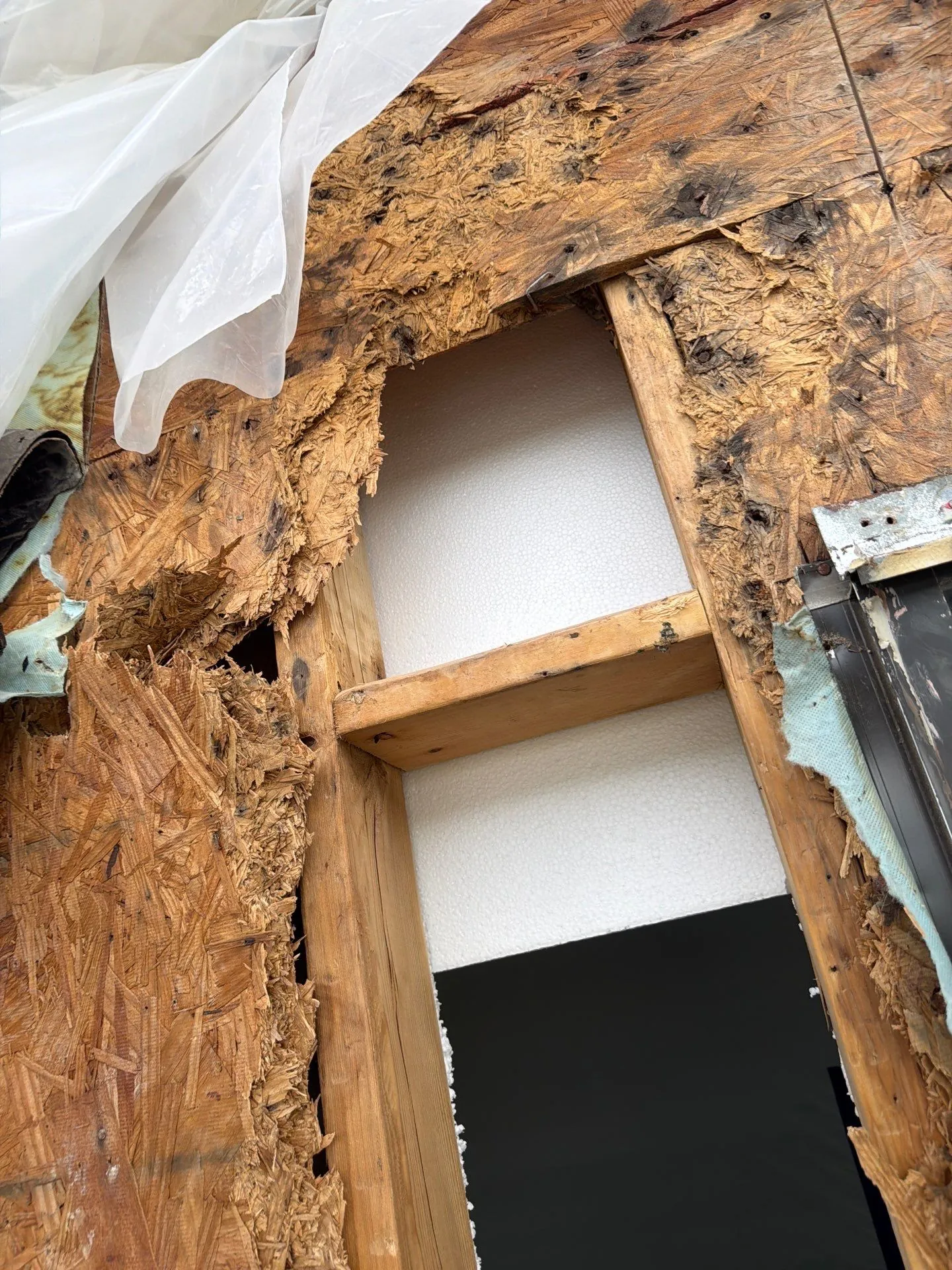 Water-damaged wood sheathing exposed during repair